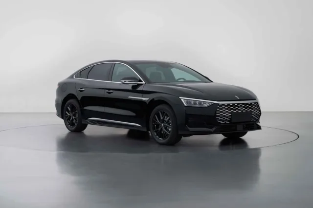 BYD unveils another new brand?