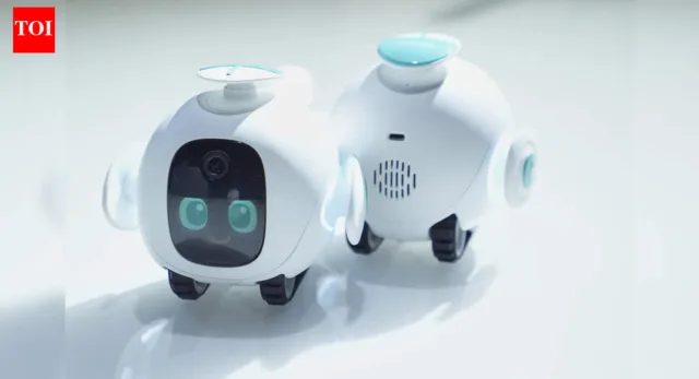 One of Elon Musk’s 'biggest worry' about China was on full display at America’s top tech show - The Times of India