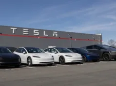 Tesla China FSD Timeline Gets Pushback After Musk Davos Comments Tesla China FSD Timeline Gets Pushback After Musk Davos Comments