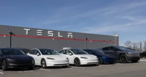 Tesla China FSD Timeline Gets Pushback After Musk Davos Comments Tesla China FSD Timeline Gets Pushback After Musk Davos Comments