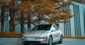 Tesla China Reaches Second-Best Exports Month Ever While Local Demand Falls Tesla China Reaches Second-Best Exports Month Ever While Local Demand Falls