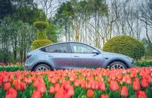 Tesla-inspired door handles prohibited under China’s new safety standard Tesla-inspired door handles prohibited under China’s new safety standard