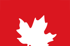 Tesla or NIO: Which Stock Is Worth Retaining in Your Portfolio? Tesla or NIO: Which Stock Is Worth Retaining in Your Portfolio?