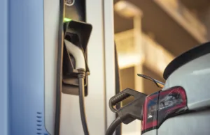 This Growth Stock Is a Pure No-Brainer Buy Right Now This Growth Stock Is a Pure No-Brainer Buy Right Now