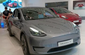 BYD Sales Collapse. What About Tesla BYD Sales Collapse. What About Tesla